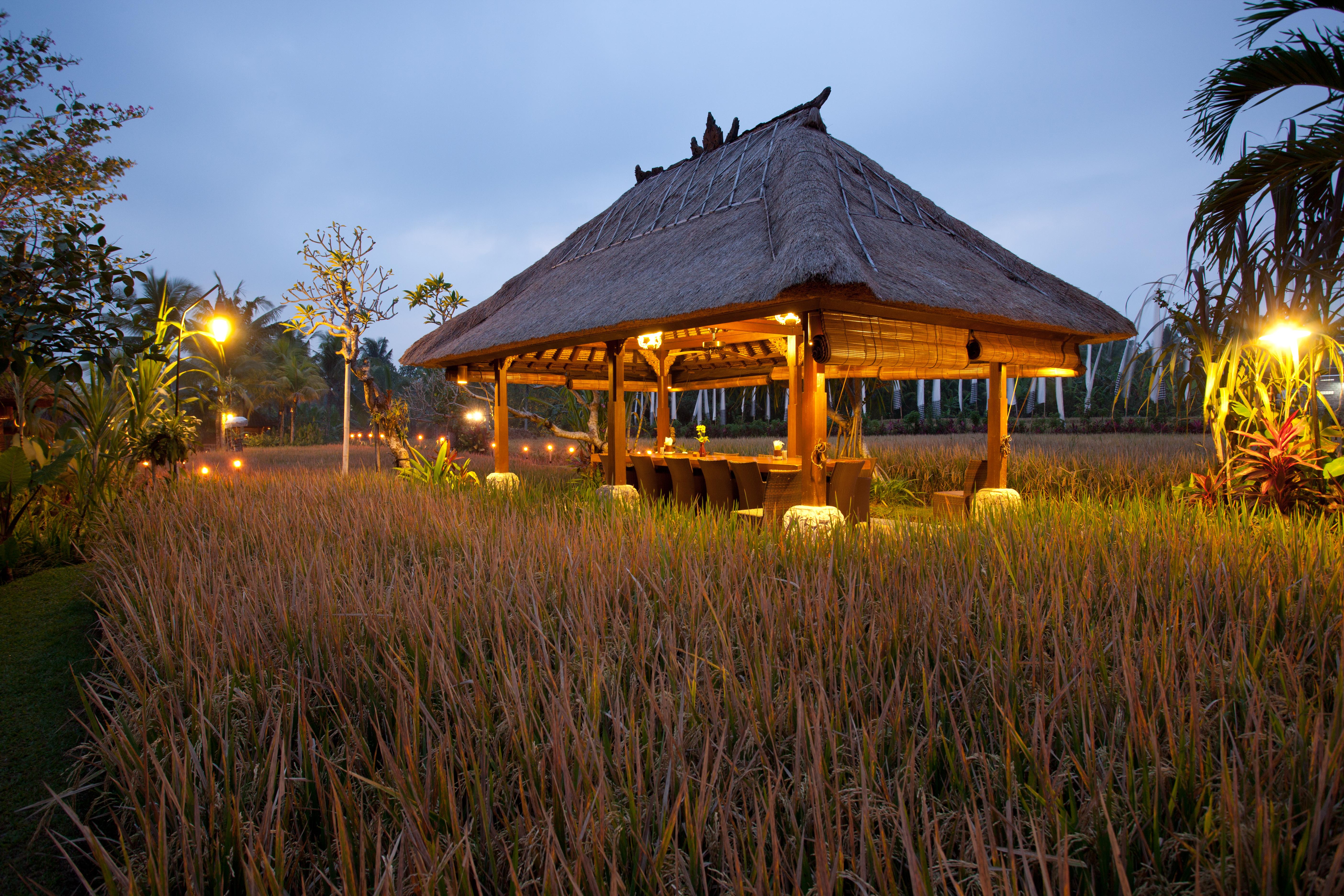 Bebek Tepi Sawah Restaurant & Villas Ουμπούντ Εξωτερικό φωτογραφία