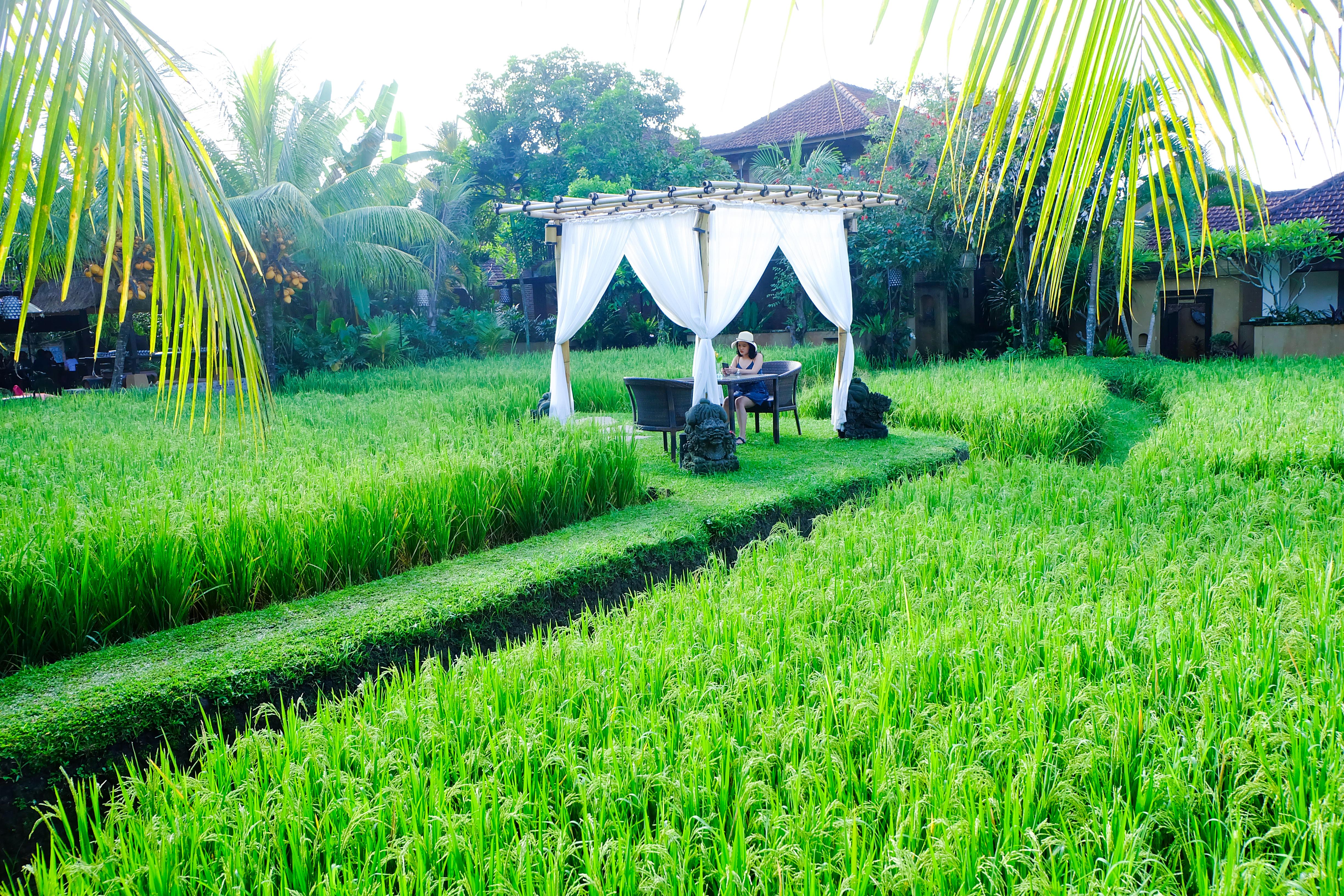 Bebek Tepi Sawah Restaurant & Villas Ουμπούντ Εξωτερικό φωτογραφία
