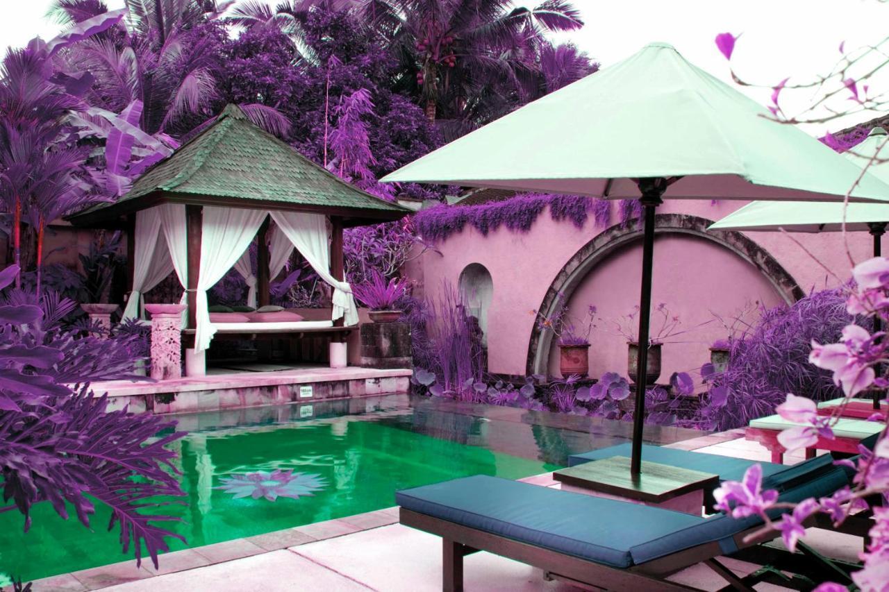 Bebek Tepi Sawah Restaurant & Villas Ουμπούντ Δωμάτιο φωτογραφία